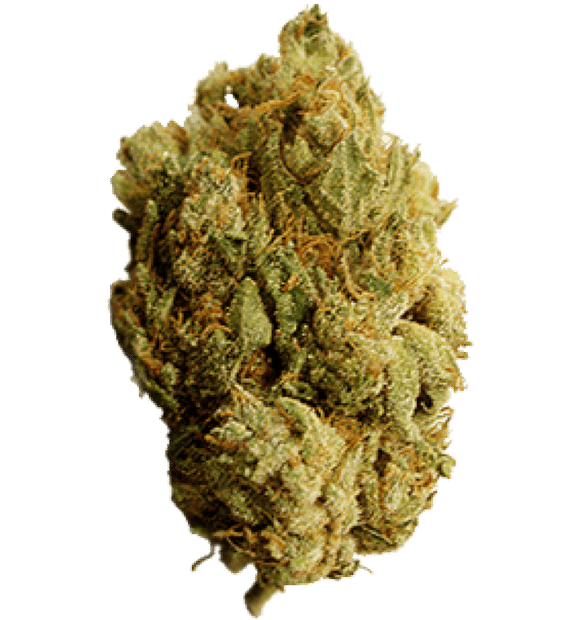 Premium hemp flower with dense green buds