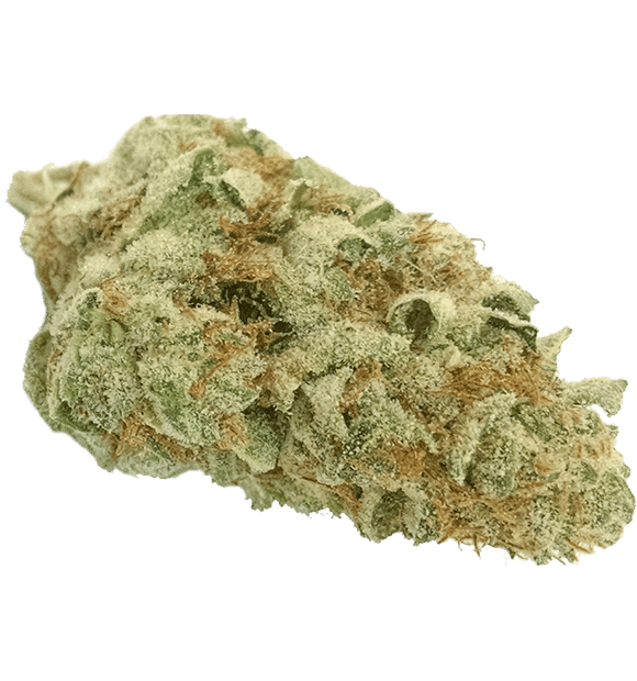 Close-up photograph of laboratory-tested hemp flower