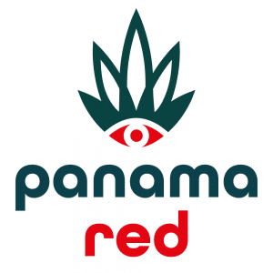 Panama Red Cannabis sativa herbal product