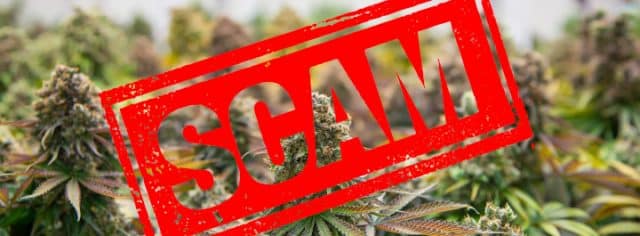 Official Weed Supermarket UK Cannabis Scammers List